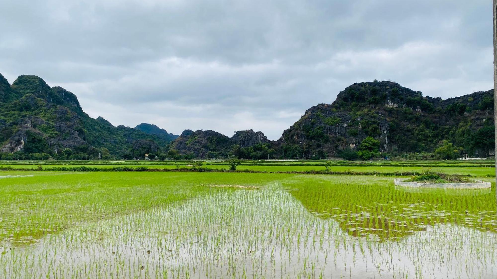 Ohayo Tam Coc Homestay Ninh Binh Exterior photo